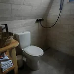 Paltinel شاليه