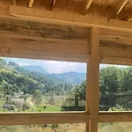 シャレー Paltinel *