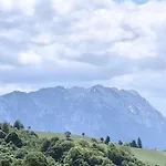 シャレー Paltinel *