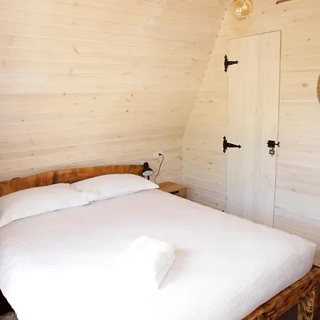Paltinel Chalet Braşov