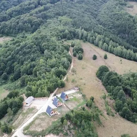 Chalet Paltinel