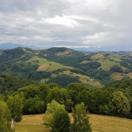 Paltinel Chalet *