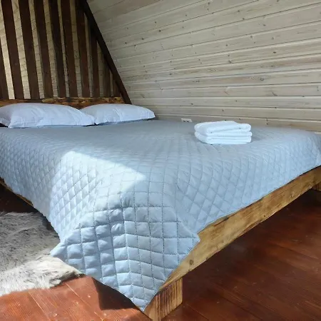 Chalet Paltinel *