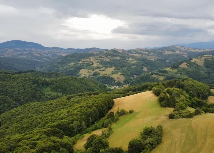 Chalet Paltinel Brasov