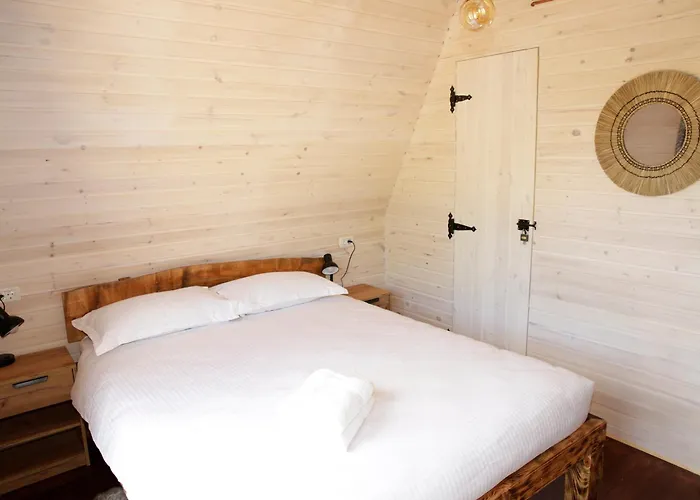 Paltinel Chalet Brasov